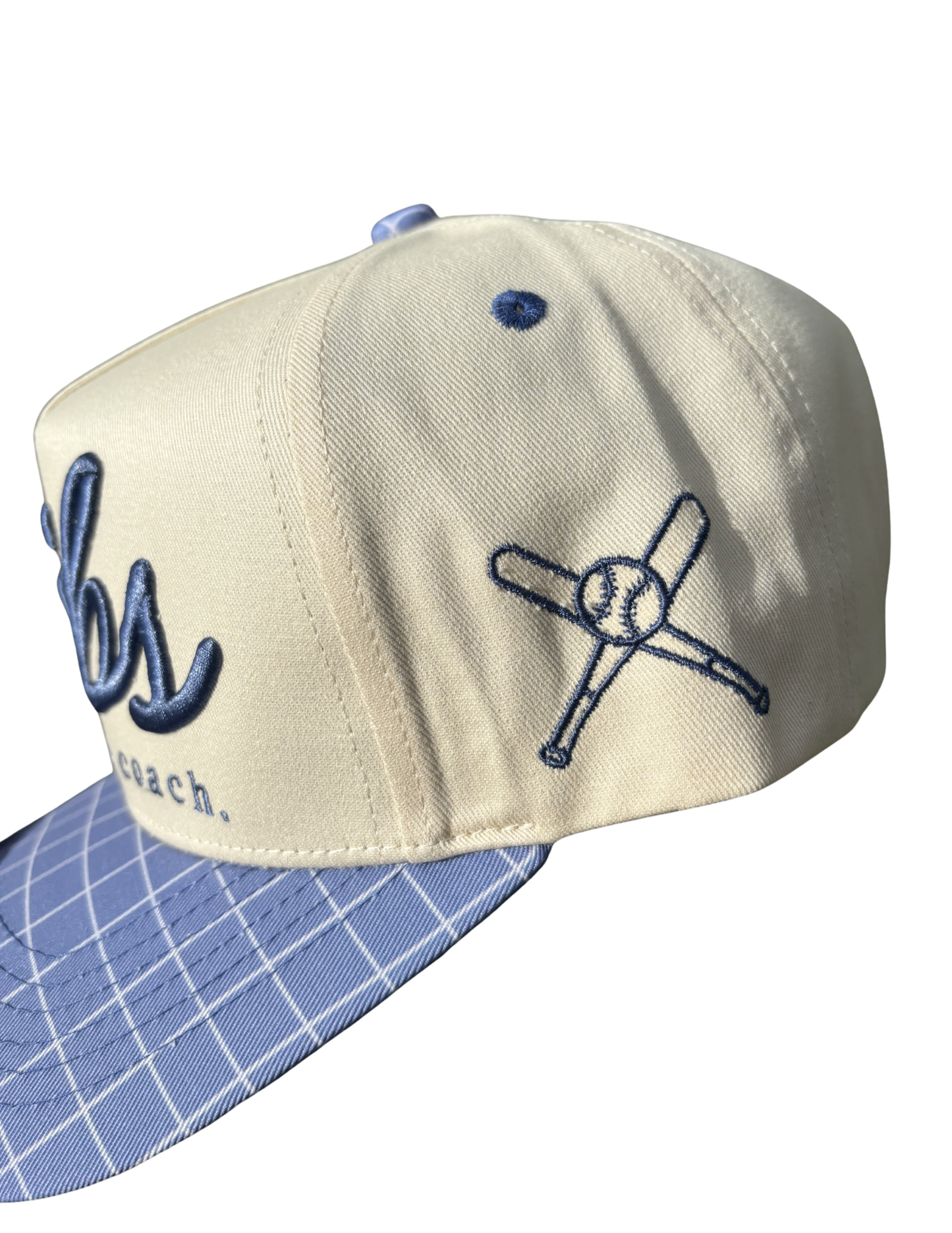 DIBS ON THE COACH CANVAS CAP