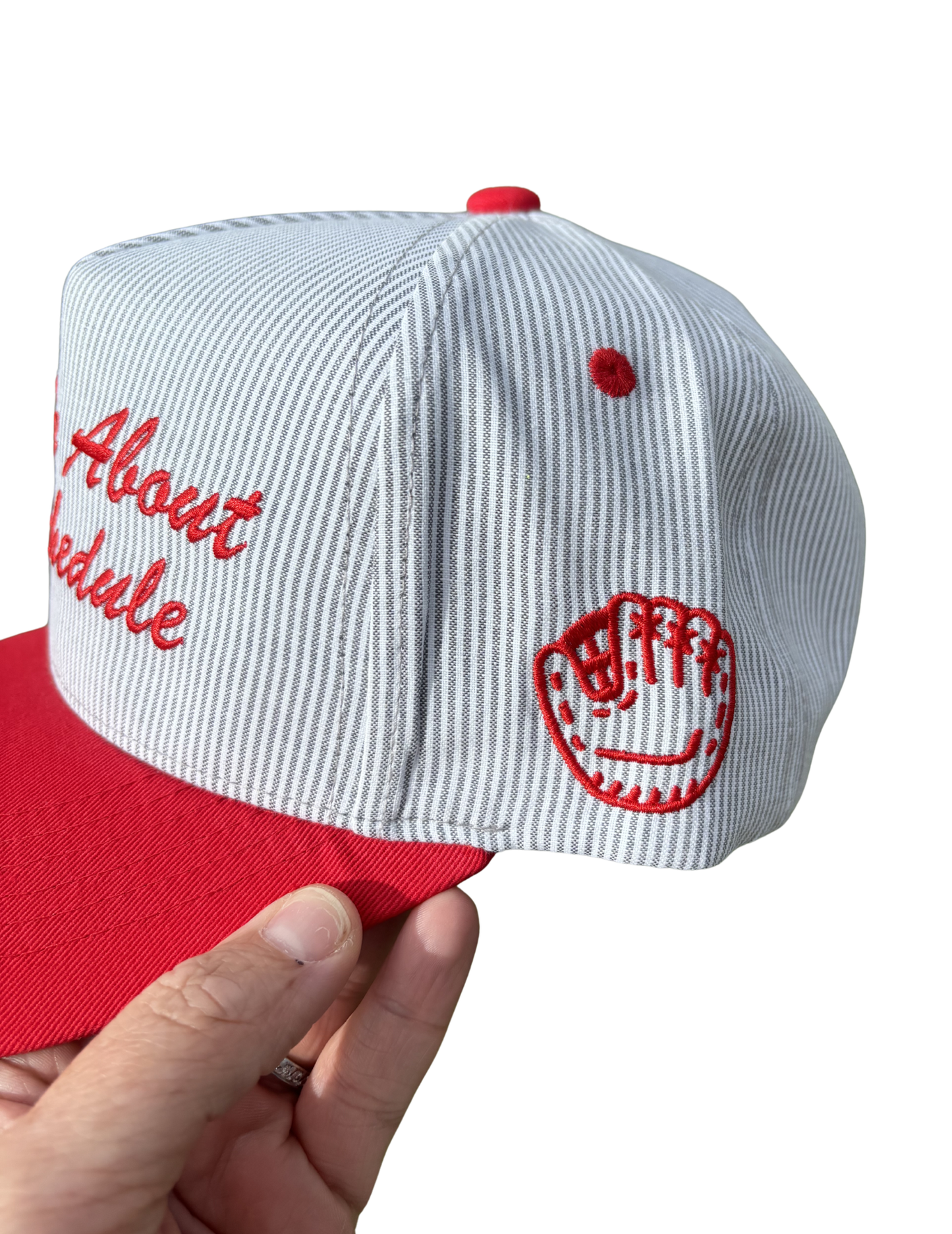 ASK ME ABOUT THE SCHEDULE CANVAS CAP