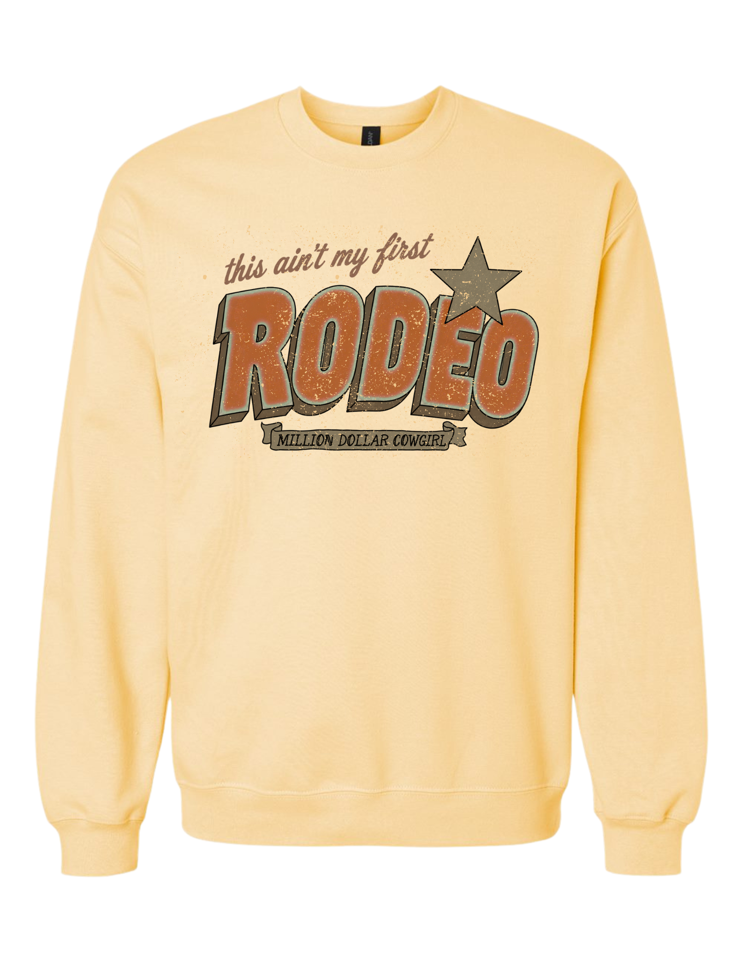 AIN’T MY FIRST RODEO (NEUTRAL) TANK | TEE | CREWNECK
