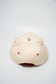 SMELL THE ROSES CANVAS CAP