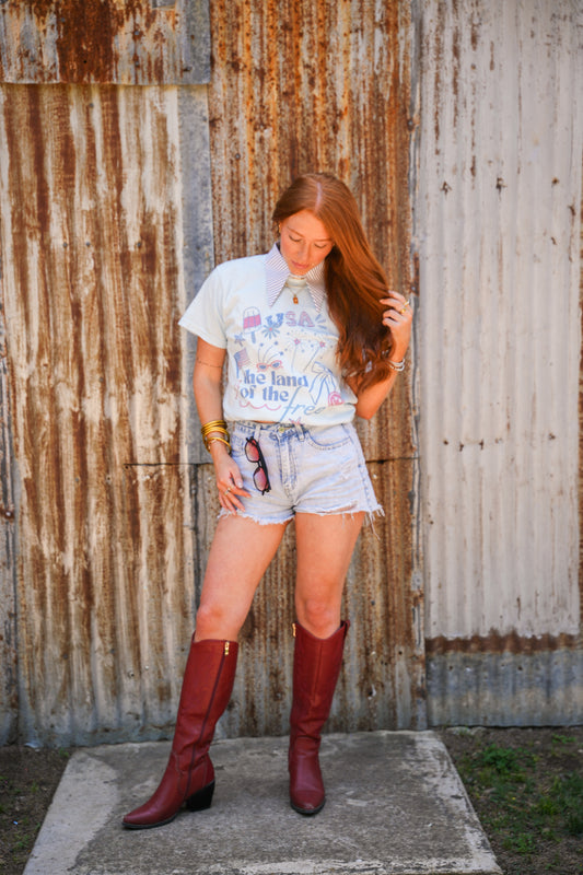 LAND OF THE FREE TEE